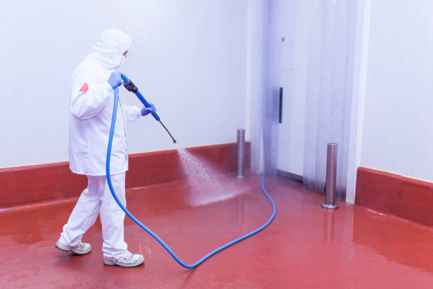 Best House Exterior Washing  in Beloit, KS